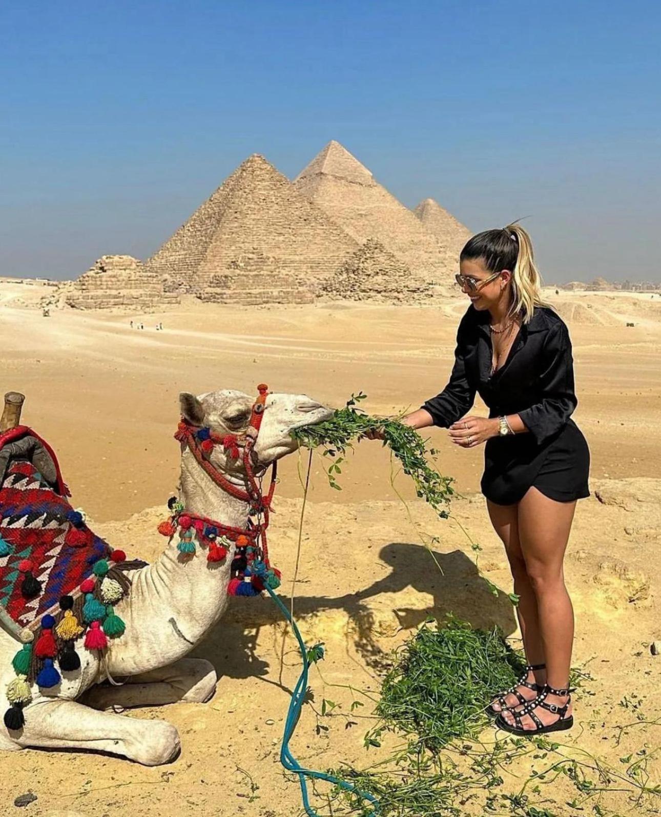 The Boulevard Sphinx Tower Kafret el-Gabal 外观 照片
